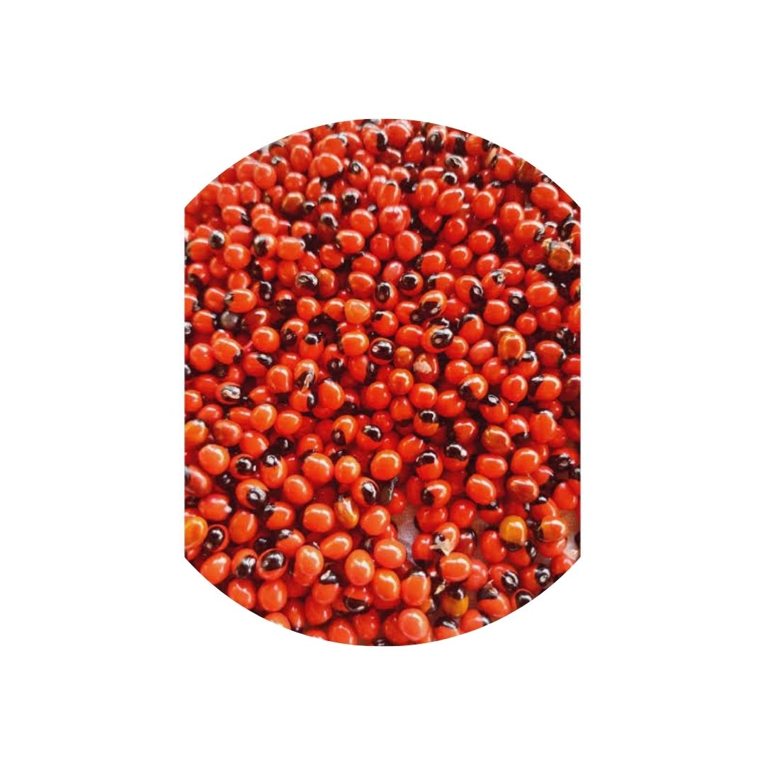 Olho de Pombo Kit C/ 16 unidades