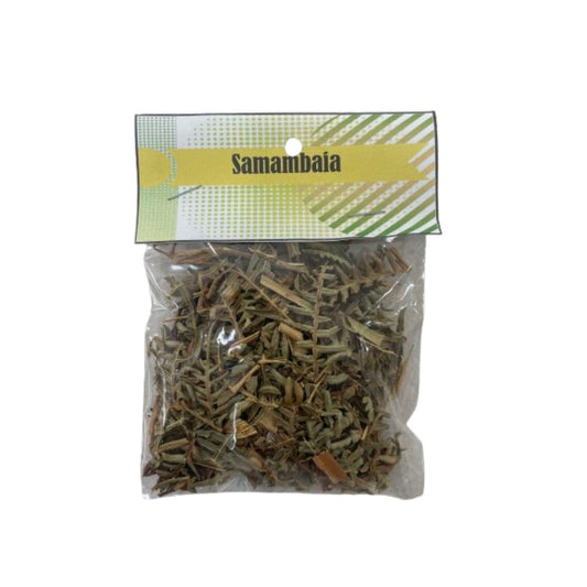 Samambaia 10g